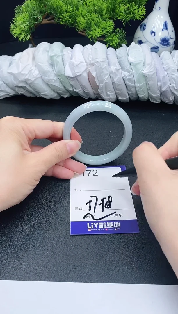未镶嵌手镯翡翠172