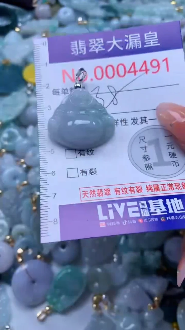 翡翠未镶嵌吊坠(不含链)4491