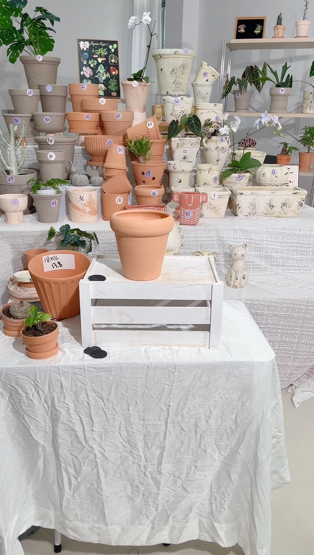 【闪购商品】红陶1个无托 红陶草莓女孩口径15*15