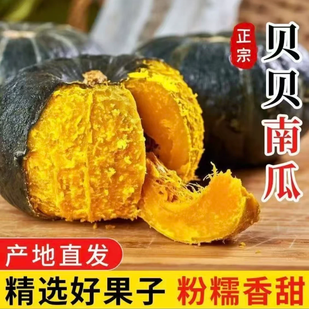 内蒙古沙地贝贝南瓜【粉糯香甜】 板栗味 蔬菜减脂 宝宝辅食 粗粮