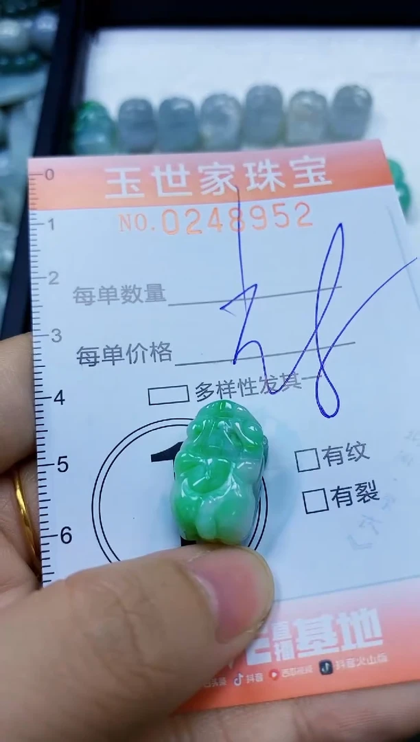 翡翠未镶嵌颈饰闪购0248952