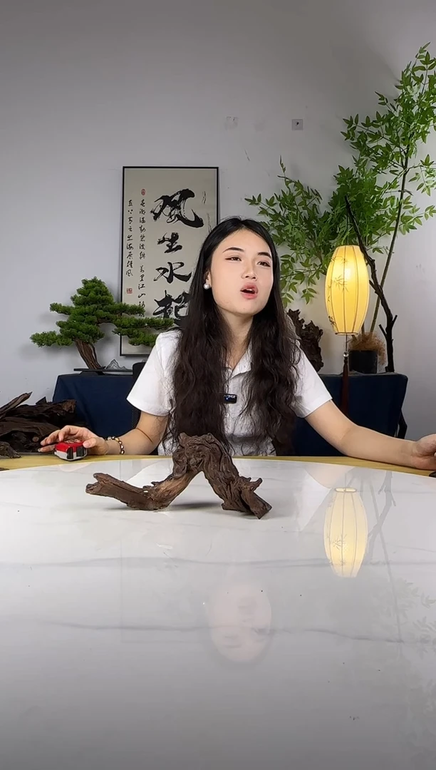 忆*年拍这个定向编号44