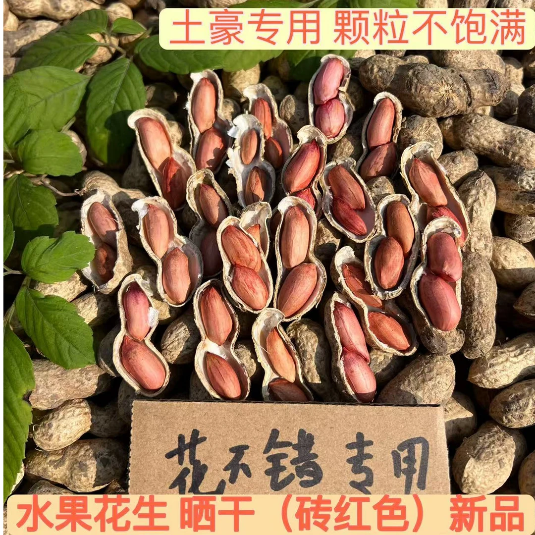 水果花生【微干鲜花生】香甜可口  口感绝佳