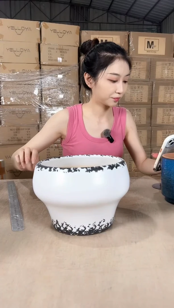 火锅雪花裂纹白小号21x16