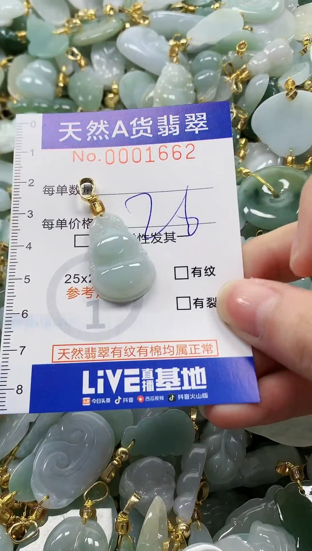 颈饰未镶嵌翡翠纯天然a货翡翠