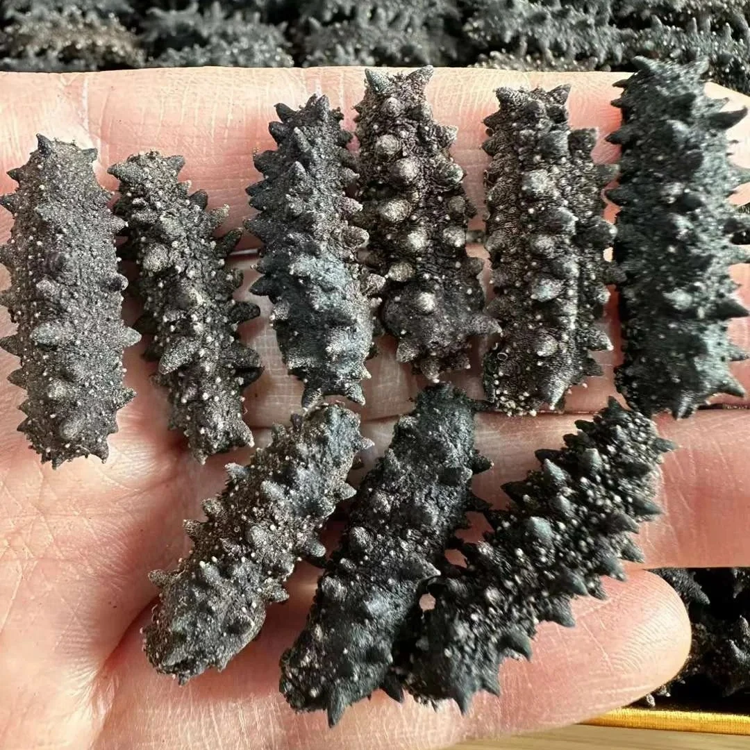 【幸子精选】精选300头超淡干海参