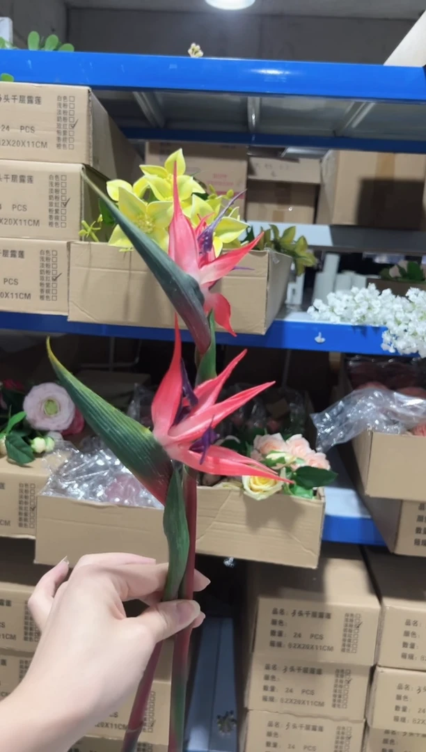 2枝红色天堂鸟