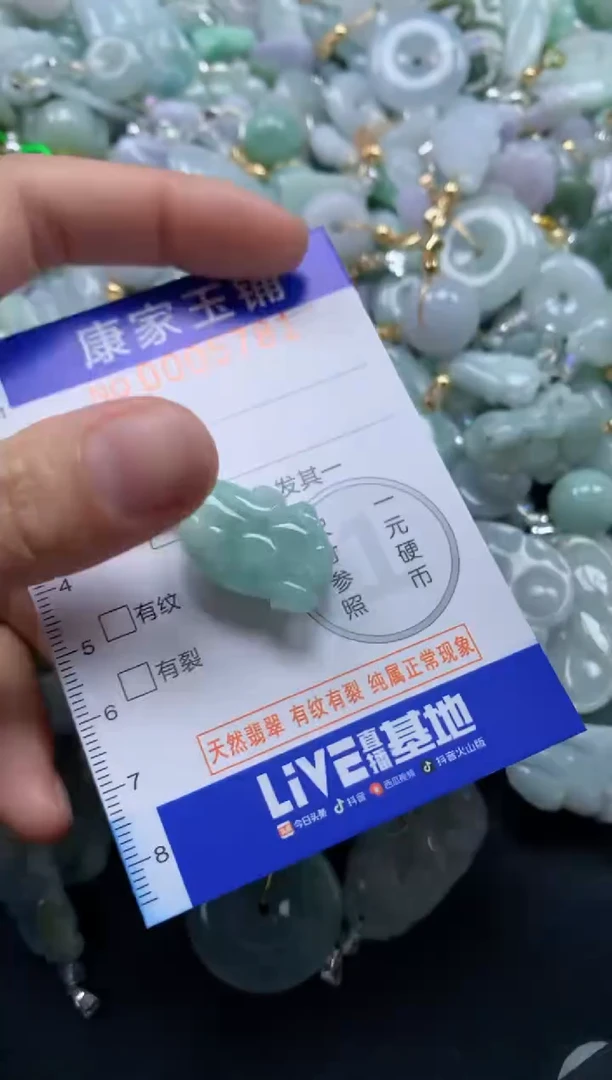 颈饰未镶嵌翡翠5781