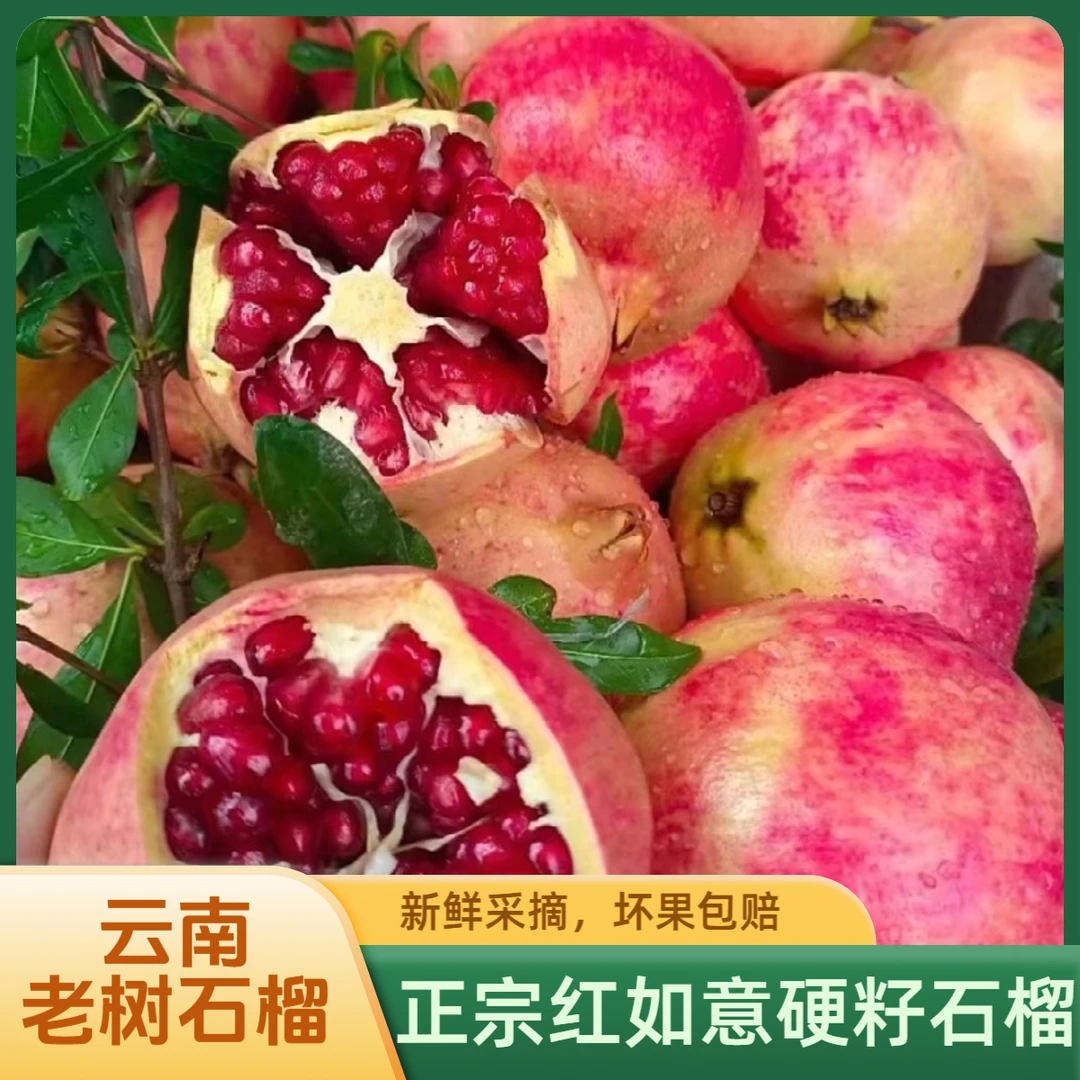云南建水老树红如意石榴酸甜石榴红皮新鲜水果刘月红突尼斯石榴