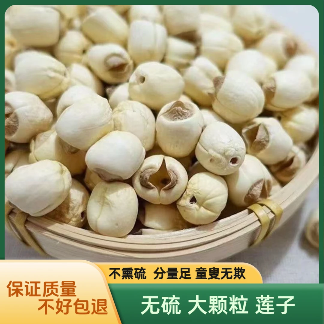 莲子干货无硫莲子手工新鲜去壳莲子净重足称湘潭莲子湖南莲子去芯