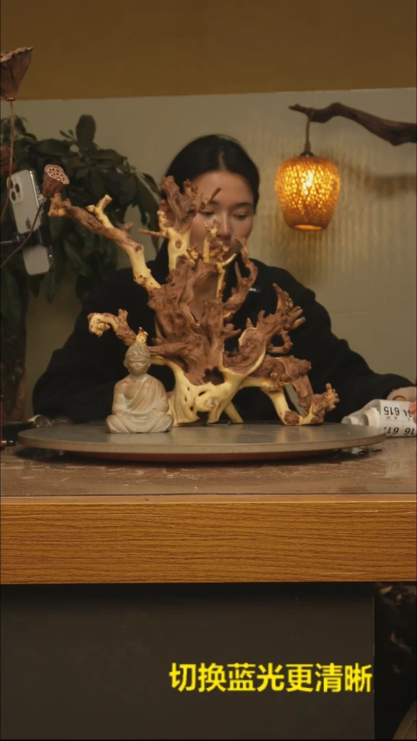 木禅***王根雕摆件612