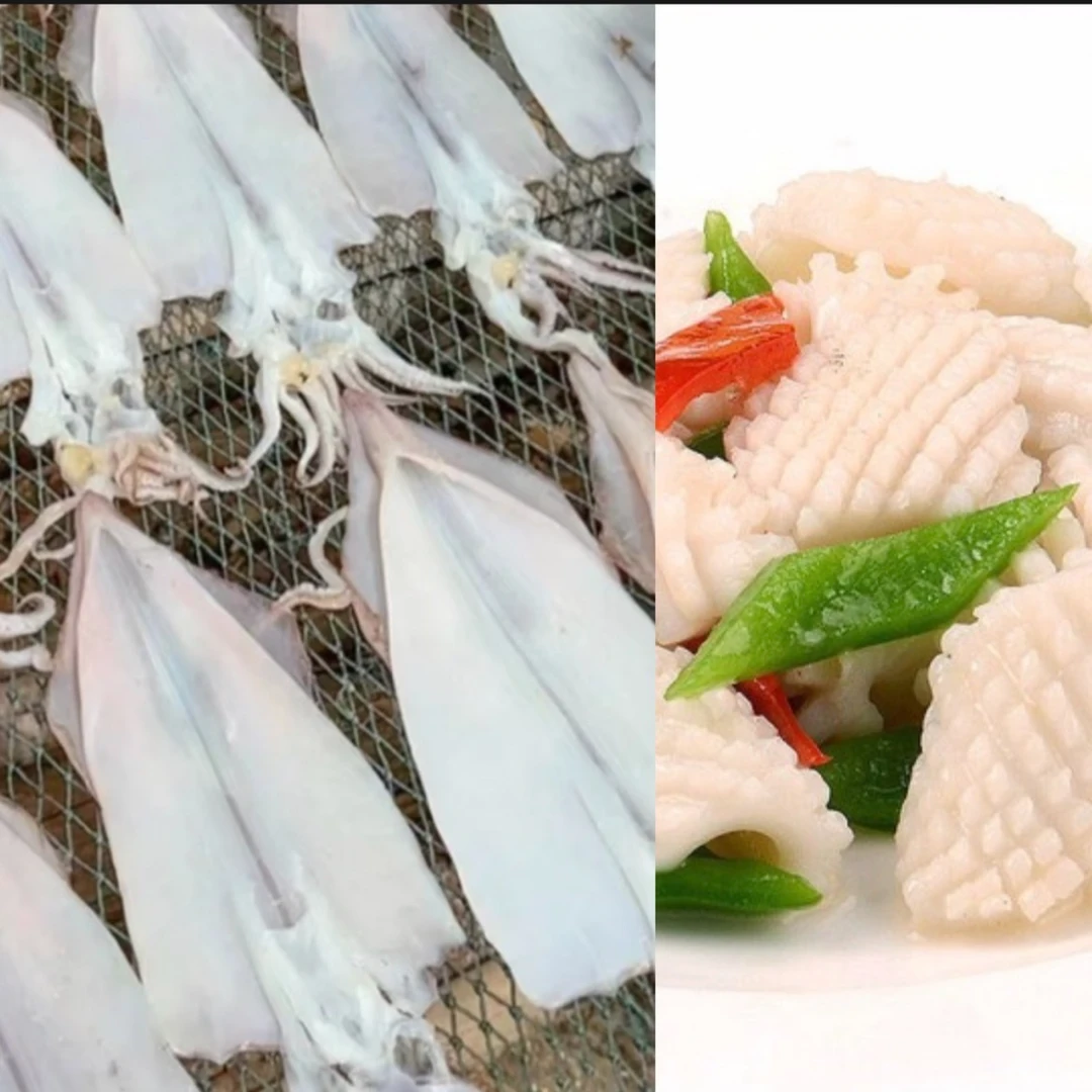 【桂和名轩】鲜鱿鱼