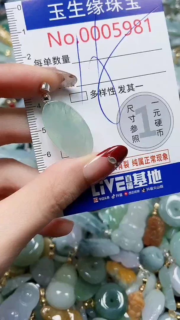 【闪购商品】翡翠颈饰未镶嵌闪购00005981