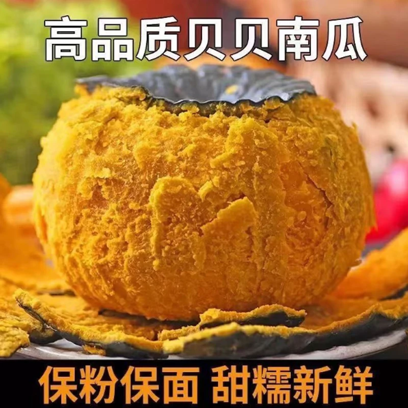 【新疆直发】沙漠贝贝南瓜5斤4-8个板栗小南瓜粗粮贝贝南瓜板栗南瓜