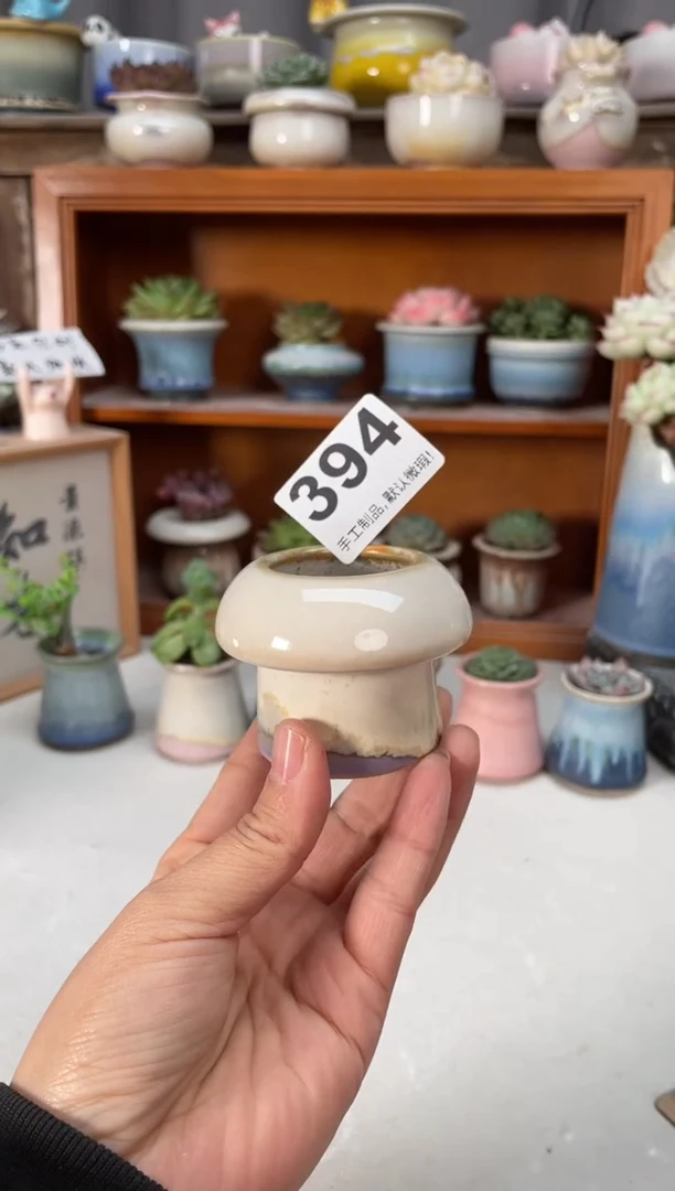 瓷片394小芳直播编号