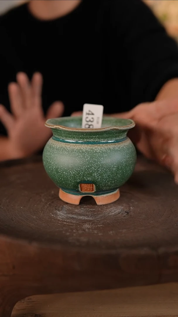 【闪购商品】红陶1-20-438默认微瑕口6