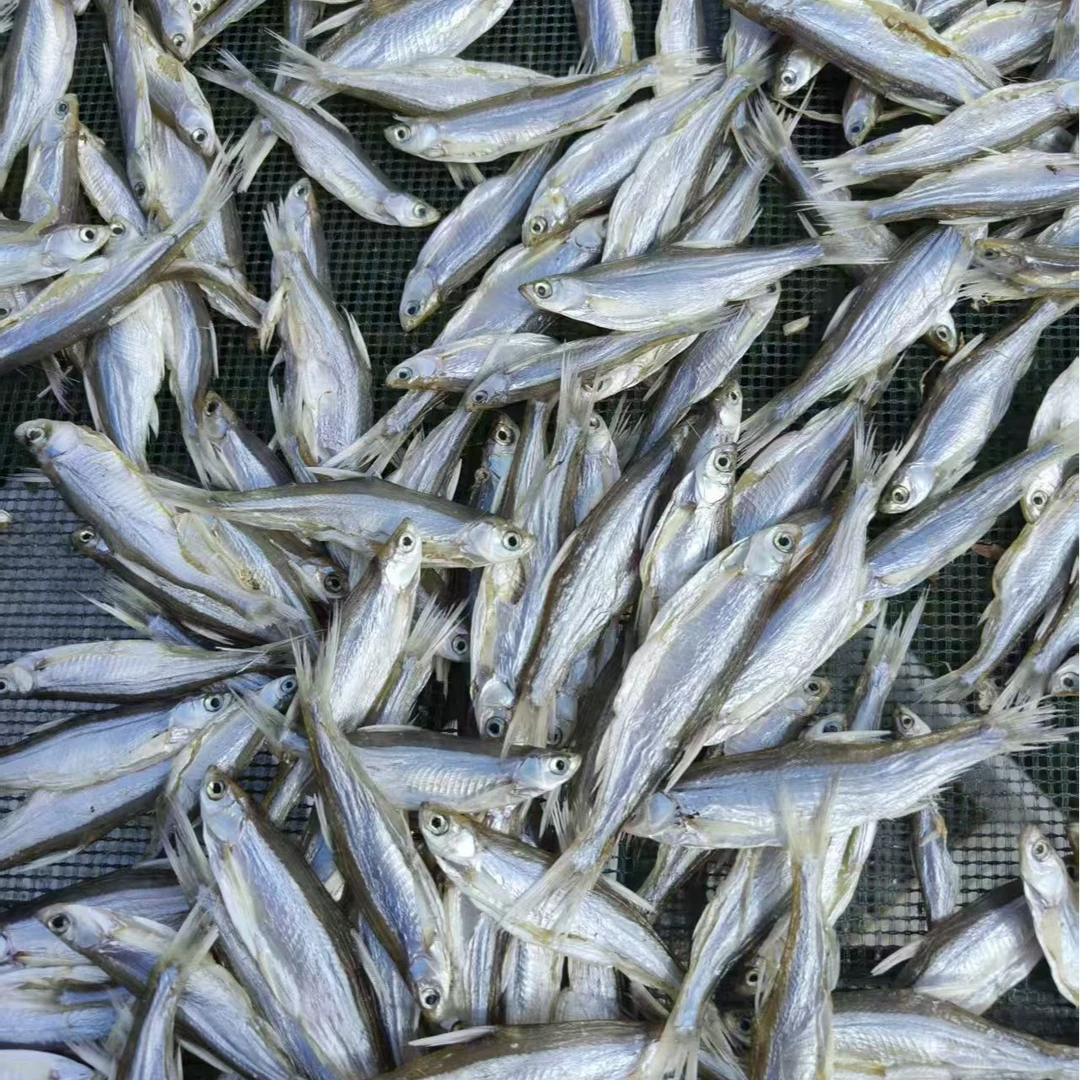 大别山特产自然风干淡水小干鱼翘嘴鱼干腌制咸鱼