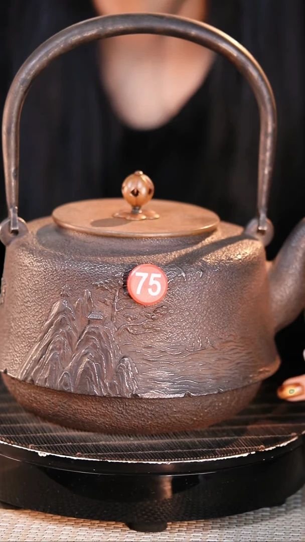 铁壶专属链接定向——————砂铁壶 - 1400ml - 红75
