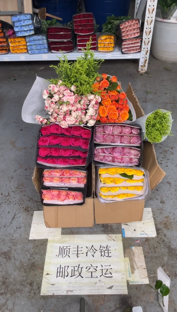 单头玫瑰40枝（任意2个品种）+多头玫瑰10枝（任意色）+黄莺