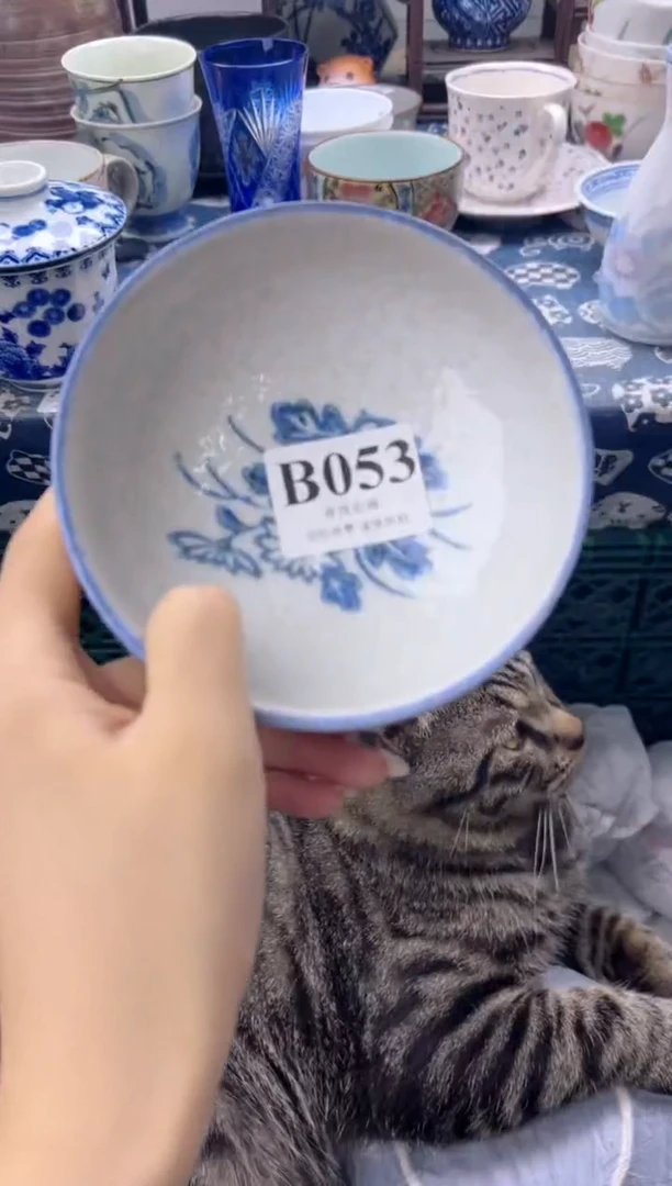 瓷片天*?   B053