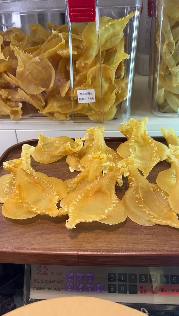 中国大陆刺花赤嘴公胶12头