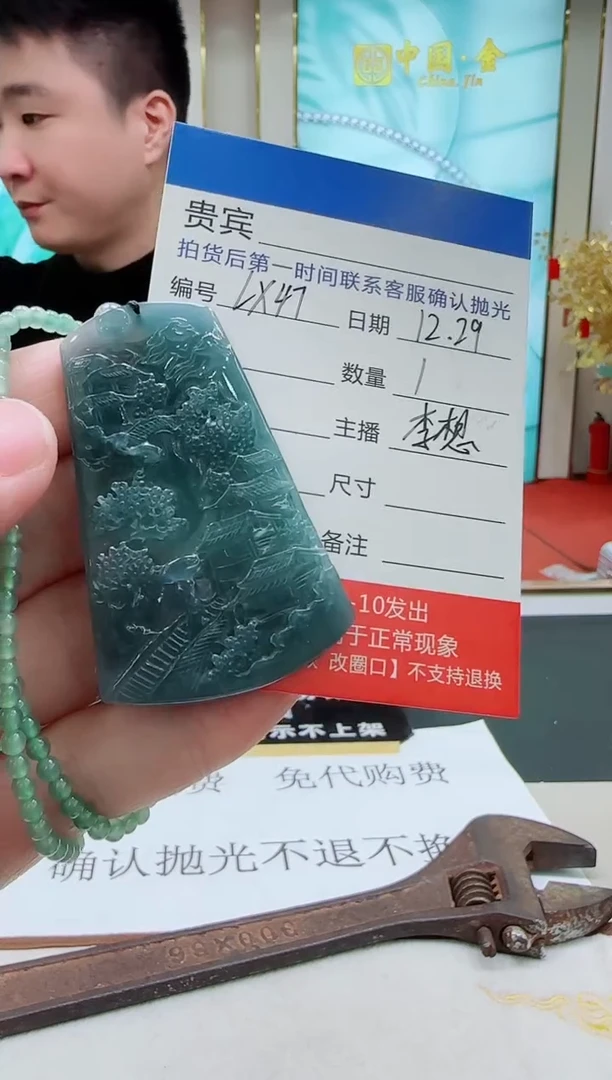 未镶嵌定制翡翠LX47翡翠吊坠赠珠链-多样性发其一