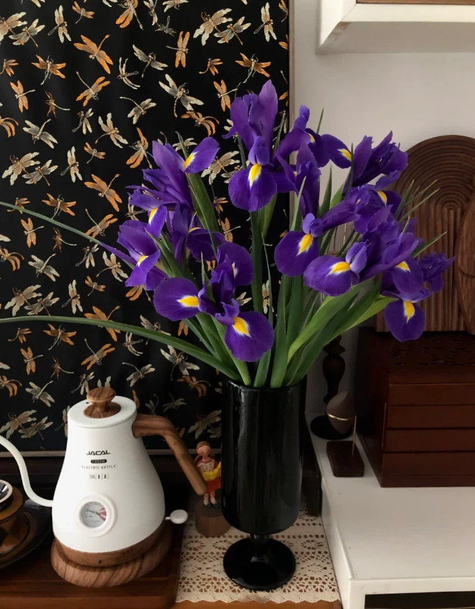 【新疆花之溪】紫色鸢尾1把