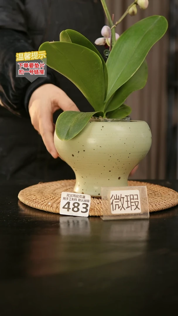 瓷片483内口径约11  外高约11