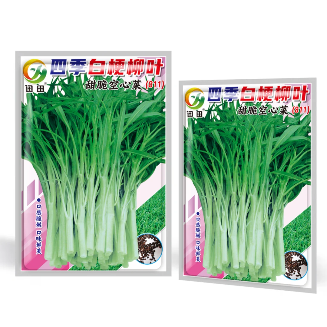 空心菜种子811*四季白梗柳叶甜脆空心菜种籽