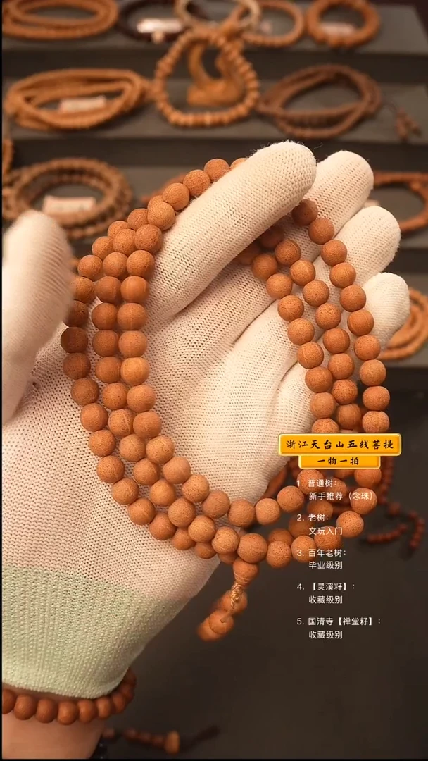 吊坠五线菩提梁*少y脖挂