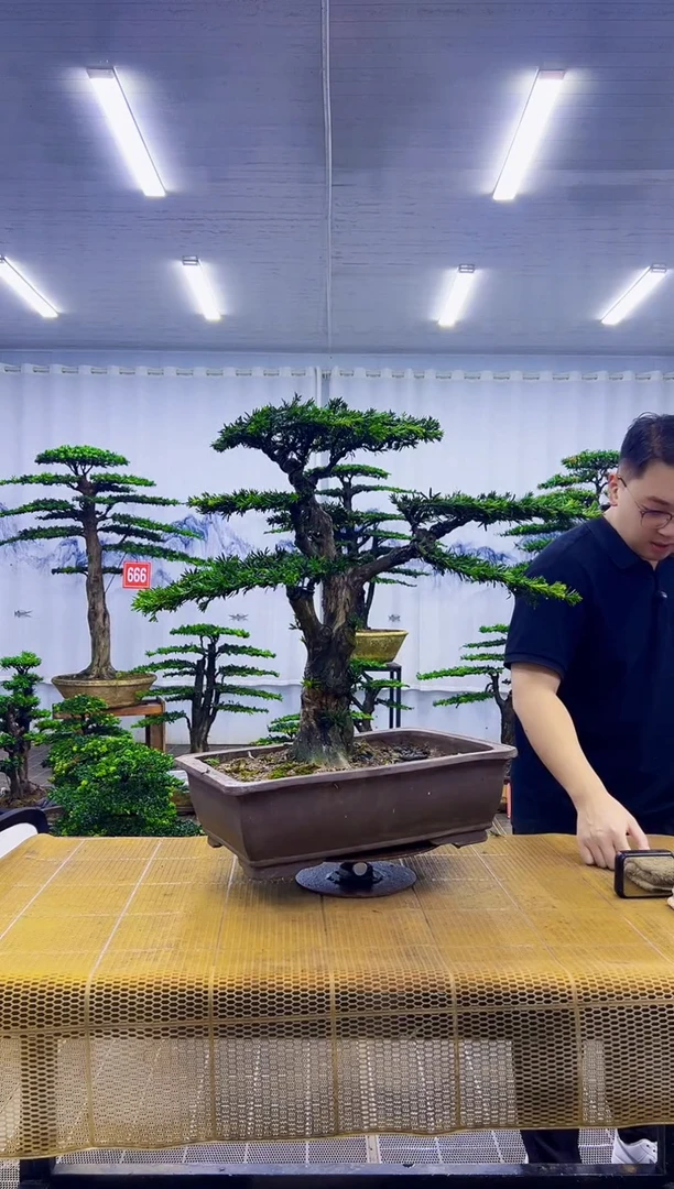 无花朵微****己00000000000000