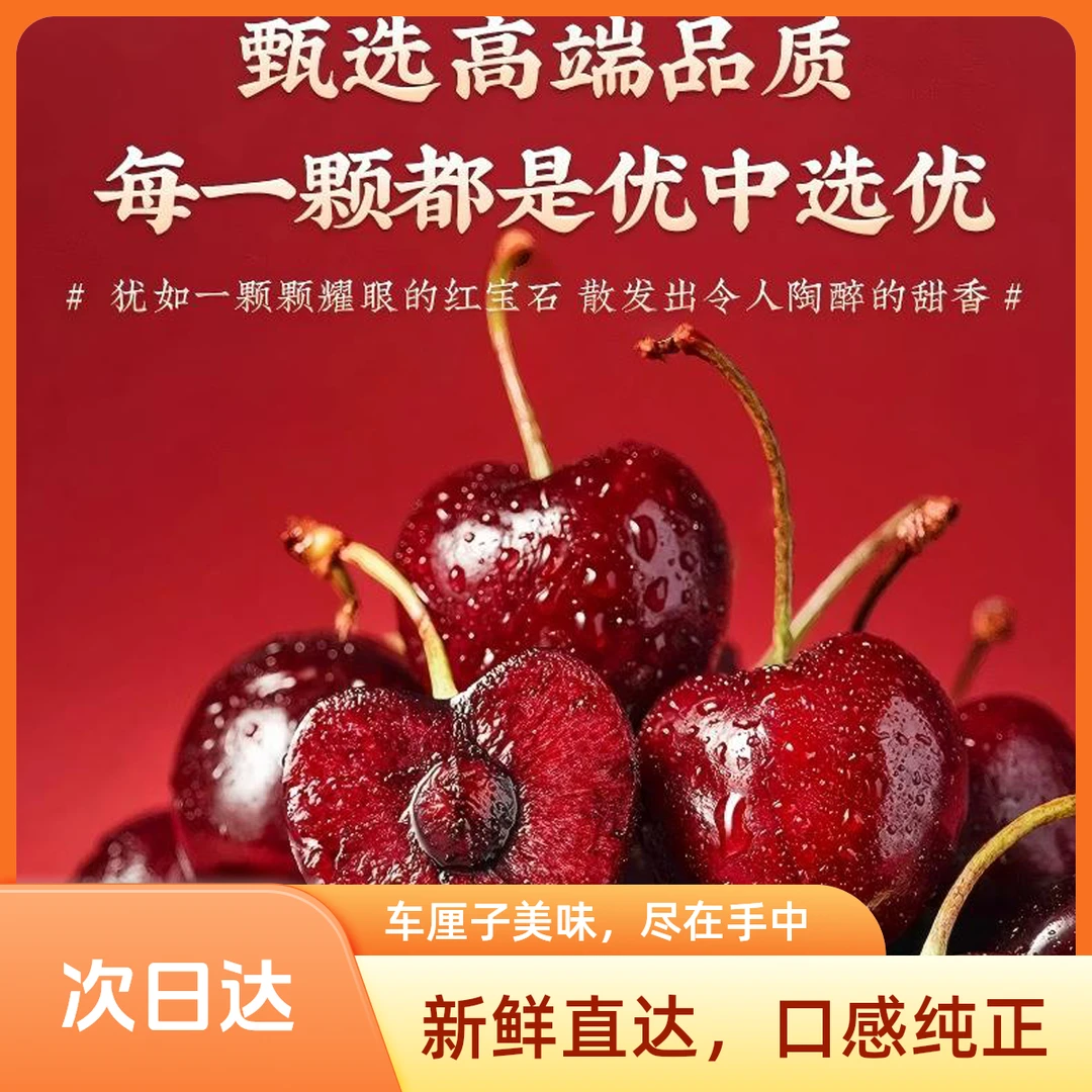 智利进口桑提娜车厘子 2斤礼盒装  XL-4J同城配送 顺丰京东次日达