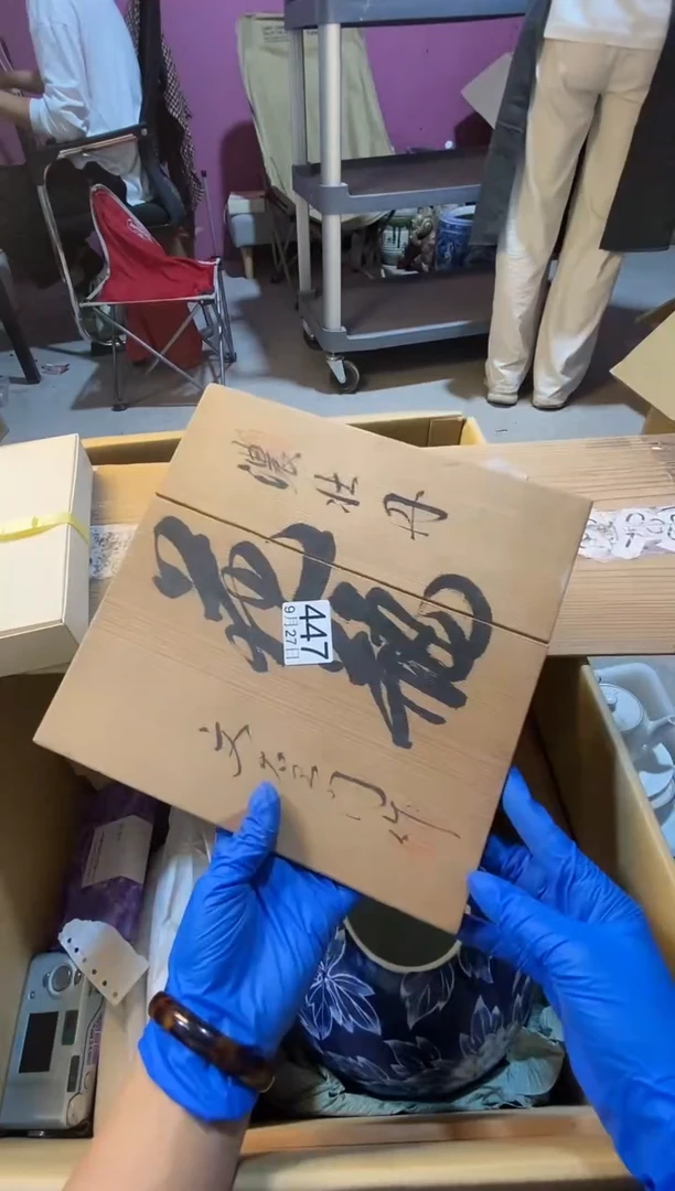 11111猫*鹰1111111111111