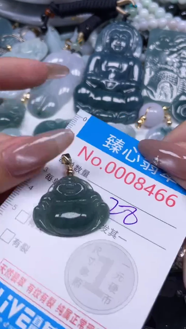 颈饰未镶嵌翡翠8466