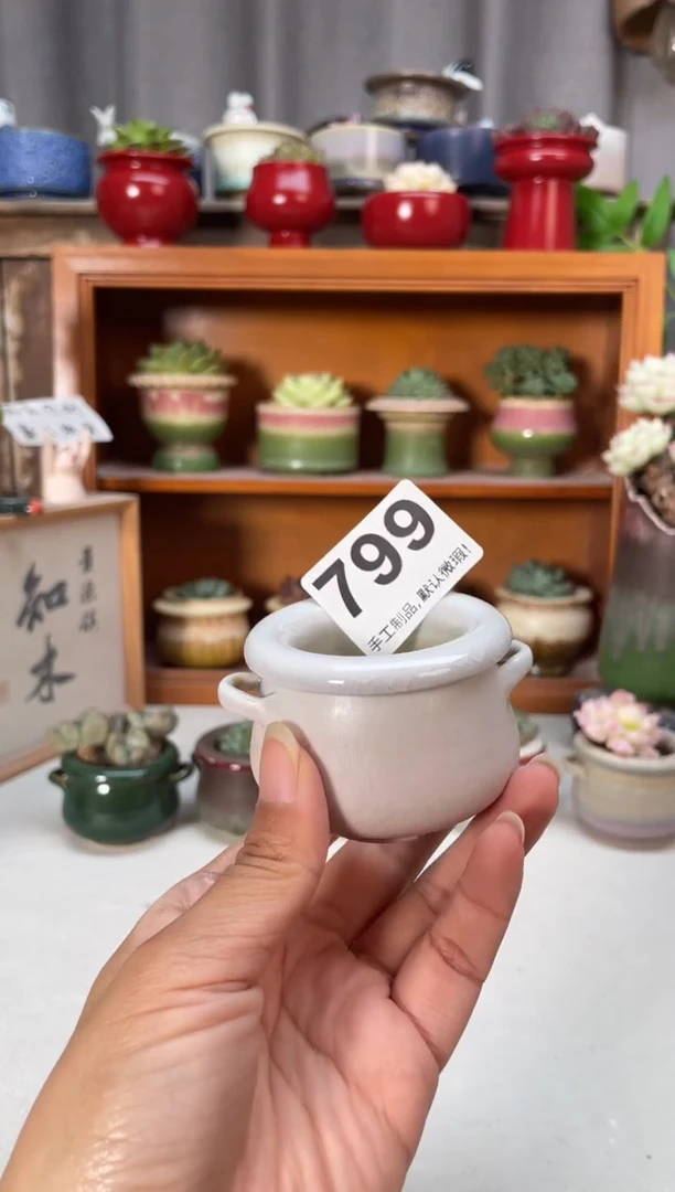 瓷片799小芳直播编号