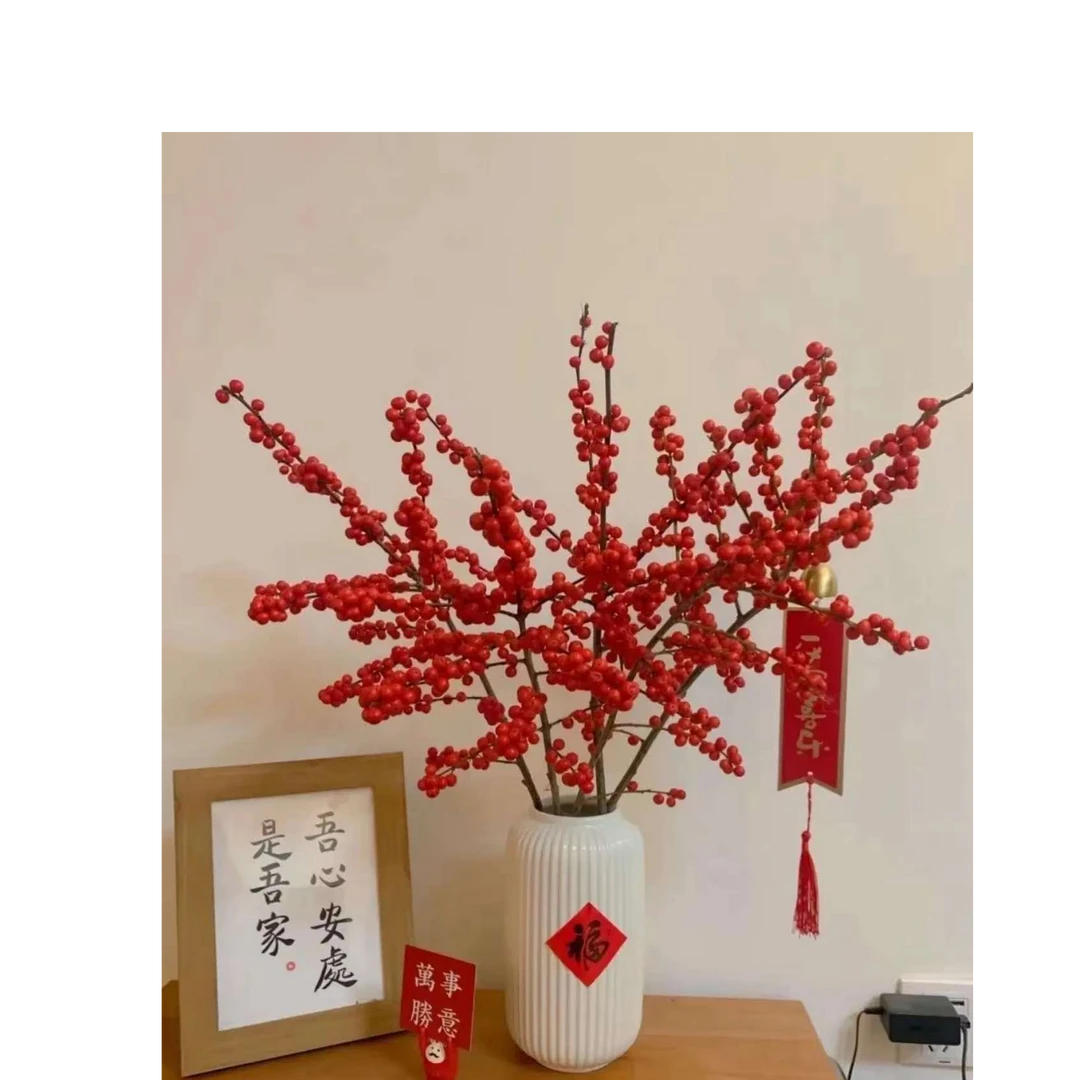 【年宵花卉】北美冬青40-50cm