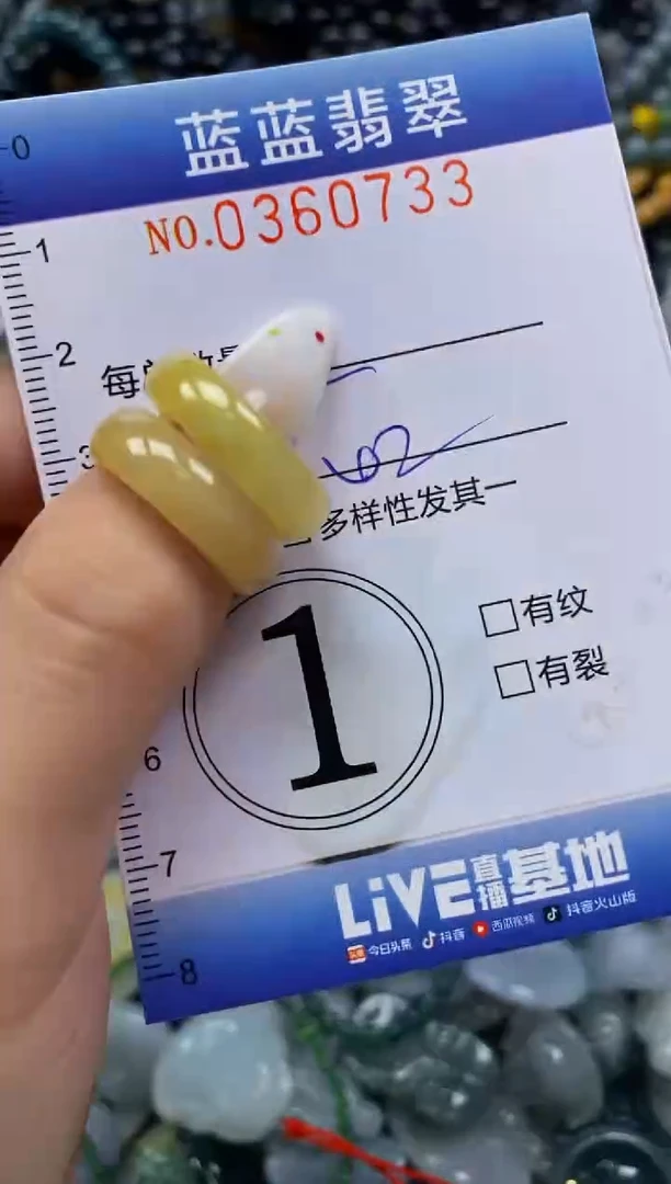 颈饰未镶嵌翡翠闪购0360733