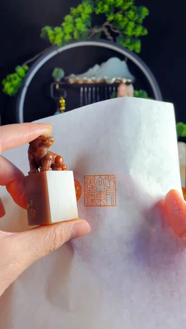 老挝石印石手工篆刻《心之所向素履以往》