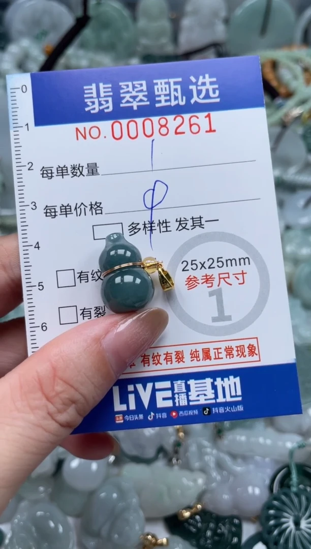 翡翠未镶嵌颈饰00..8261