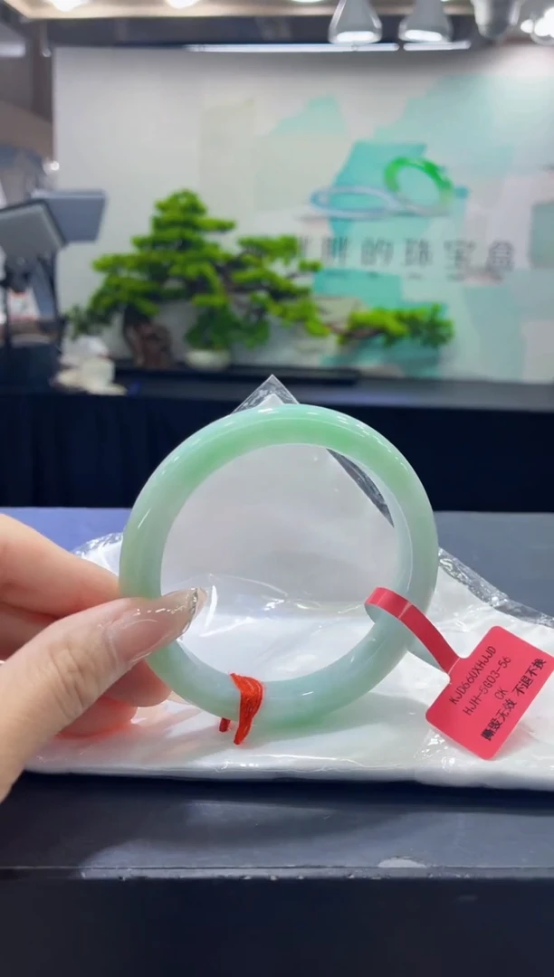 未镶嵌手镯翡翠4