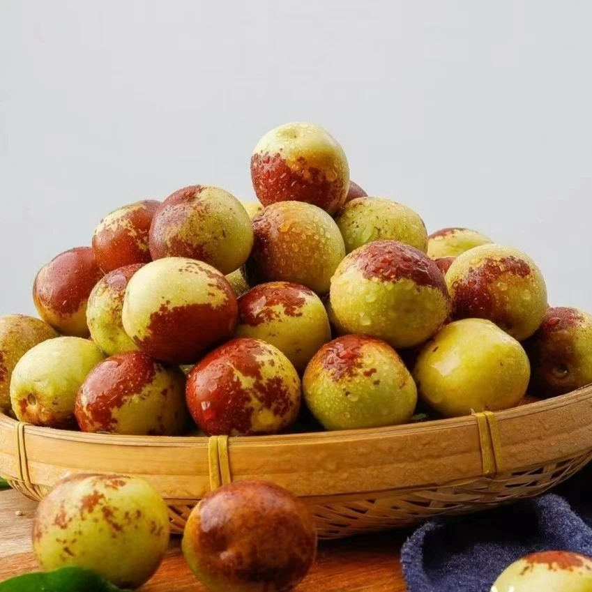 顺丰明天到，妙脆山西运城牛奶冬枣新鲜枣子脆甜一箱1.8斤左右山西省