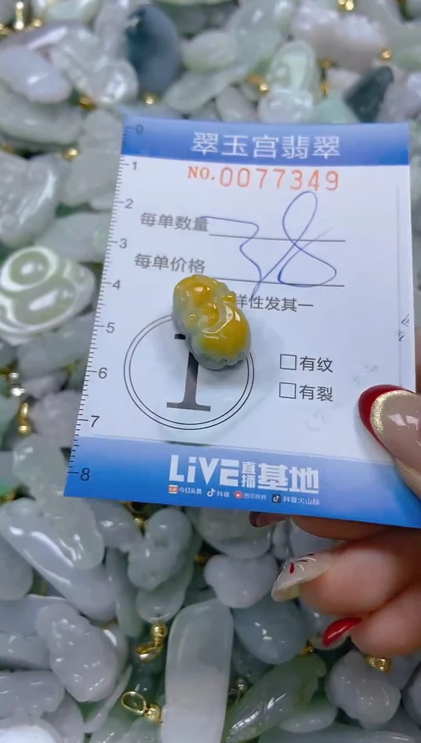 【闪购商品】翡翠颈饰未镶嵌闪购0077349