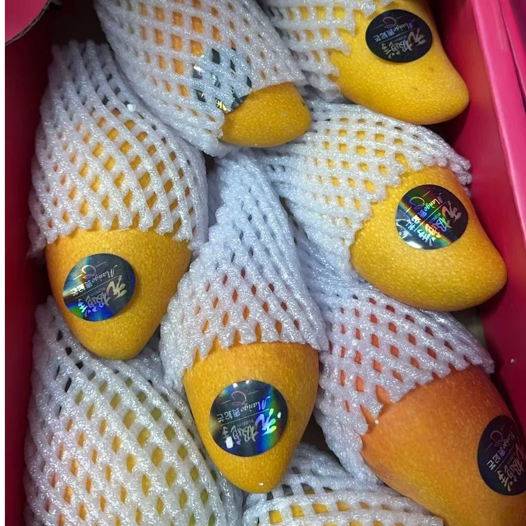 海南树熟贵妃芒5斤装