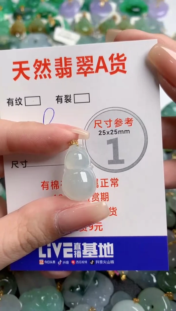 翡翠18K金镶嵌颈饰13006832