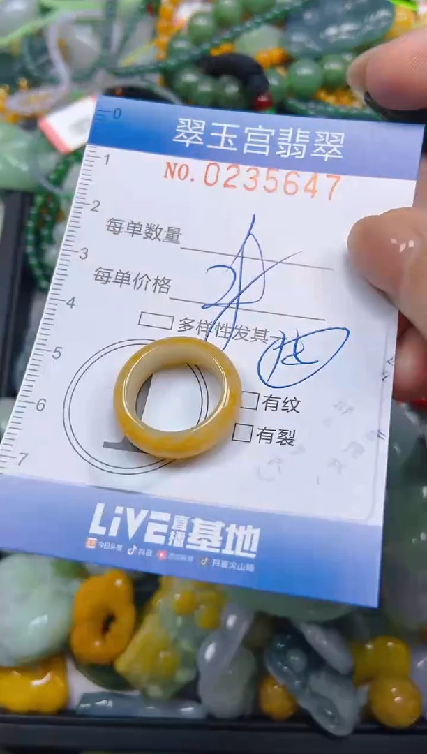 颈饰未镶嵌翡翠闪购C0235647