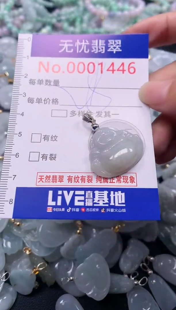 颈饰未镶嵌翡翠1446