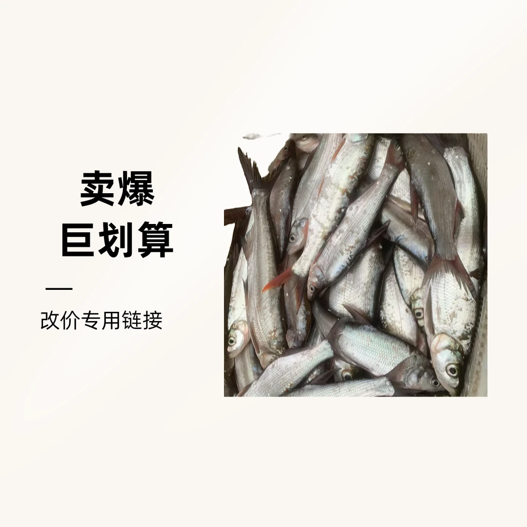 斧头湖杂鱼（直播间改价链接）实际重量已直播间为准