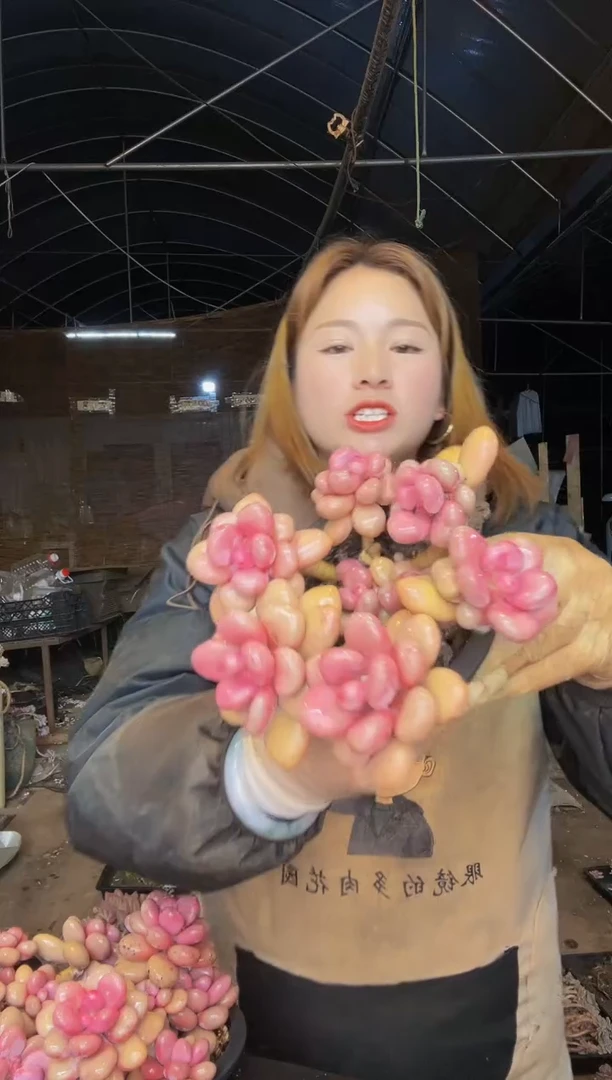 【闪购商品】桃蛋1号一物一拍包邮