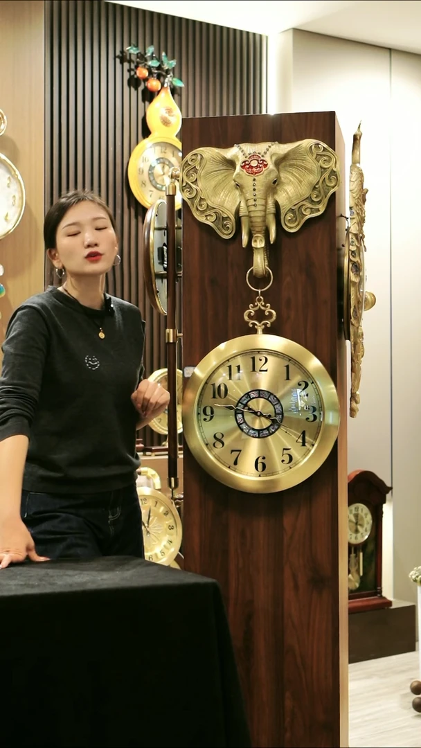 壁挂款0000000000000000000000000000