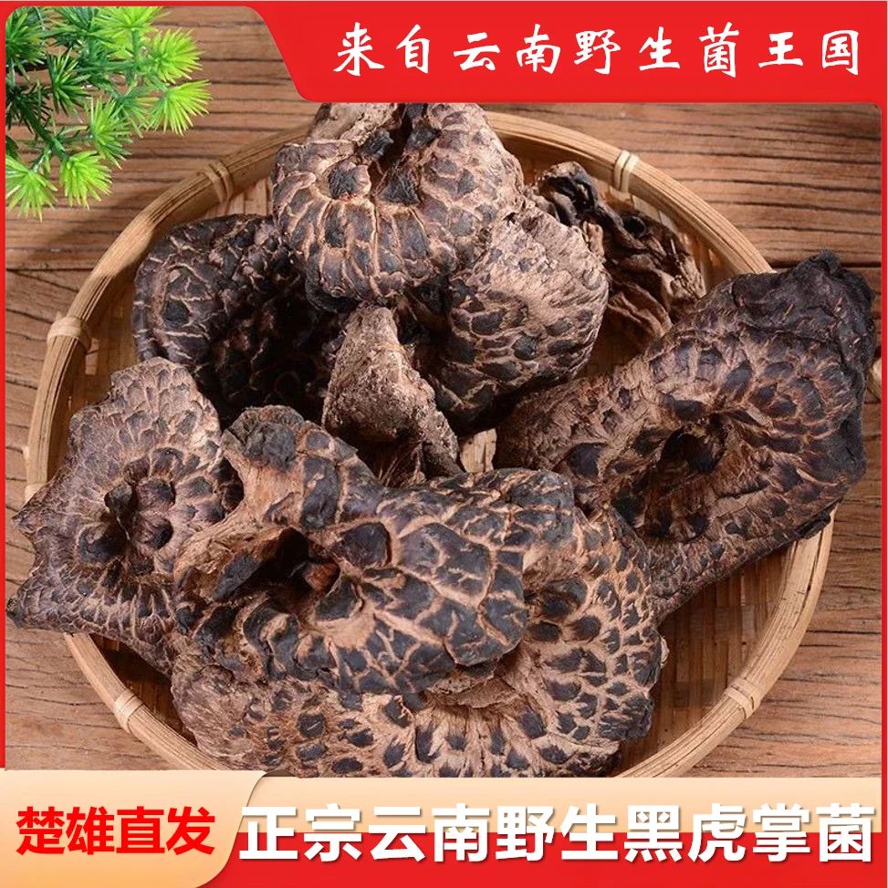 正宗云南南华野生黑虎掌菌100g装味道浓郁煲汤鲜美